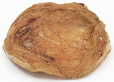Vessie de boeuf plate